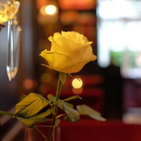 Hotel Apollofirst Boutique 4*