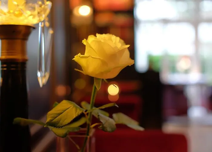 Hotel Apollofirst Boutique 4*